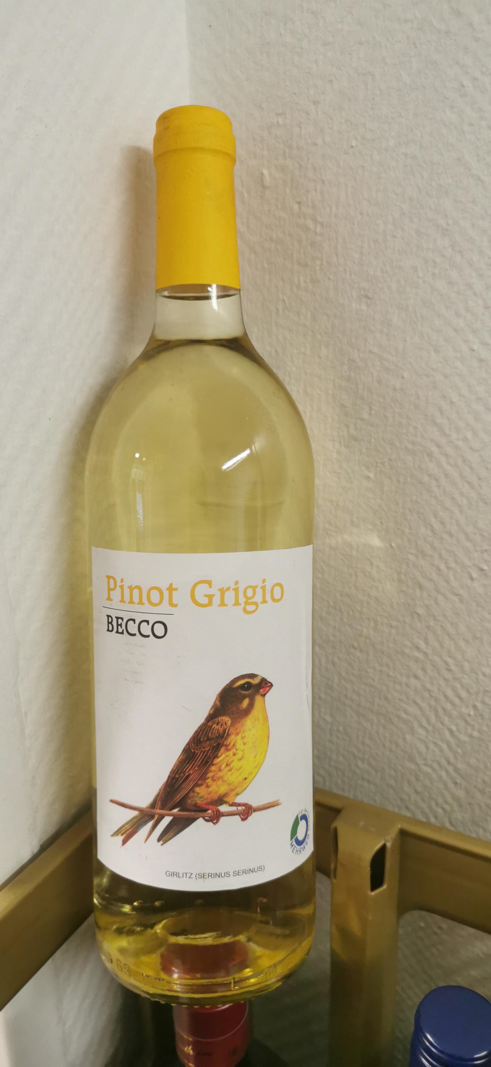 Becco Pinot Grigio